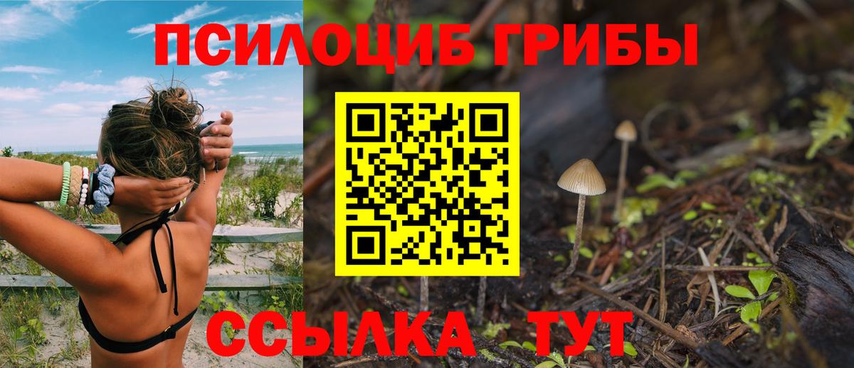 Псилоцибиновые грибы Magic Shrooms Арзамас
